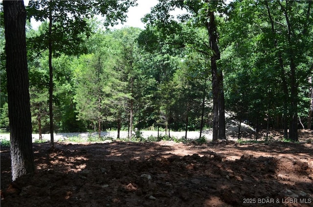 27261 Marina Ln, Barnett, MO 65011 - photo 21