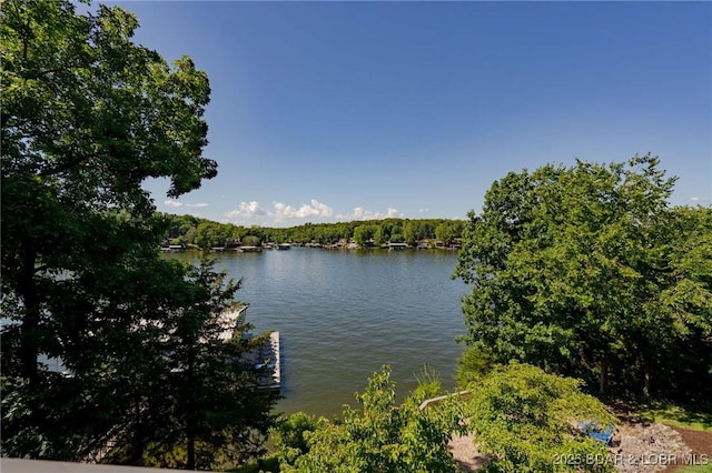 30310 Old Peony Rd, Gravois Mills, MO 65037 - water view featuring a forest