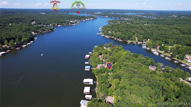 30310 Old Peony Rd, Gravois Mills, MO 65037 - aerial view of a large body of water