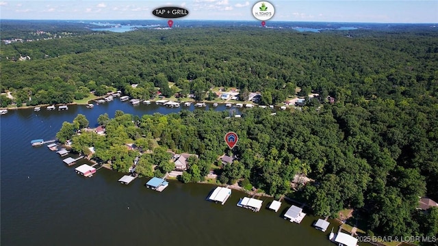 30310 Old Peony Rd, Gravois Mills, MO 65037 - aerial overview of property's location featuring a forest and a large body of water