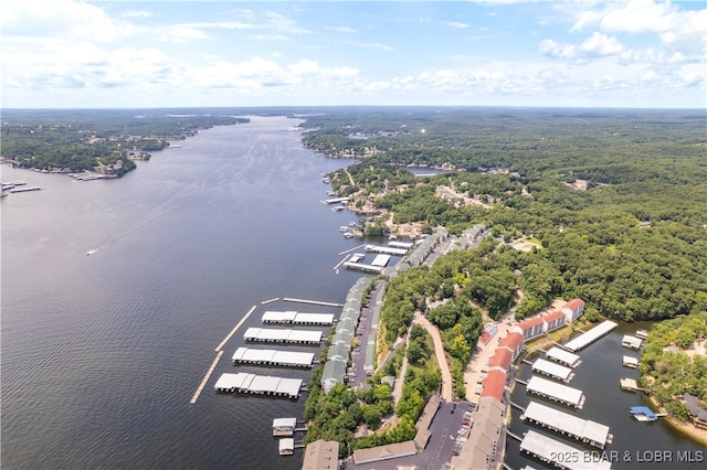 708 Harbour Towne Dr Unit E-708, Lake Ozark, MO 65049 - bird's eye view of a nearby body of water and numerous boat docks
