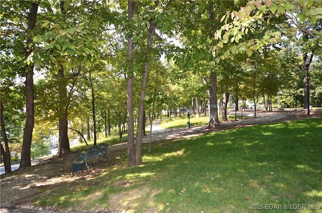 708 Harbour Towne Dr Unit E-708, Lake Ozark, MO 65049 - view of grassy yard