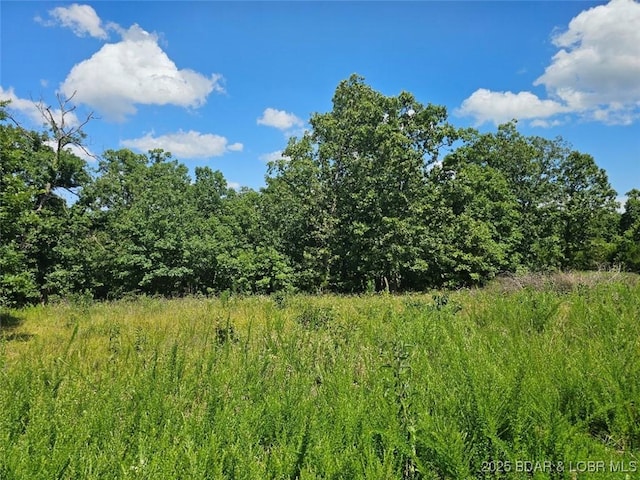 TBD Copperstone Rd, Camdenton, MO 65020 - photo 8