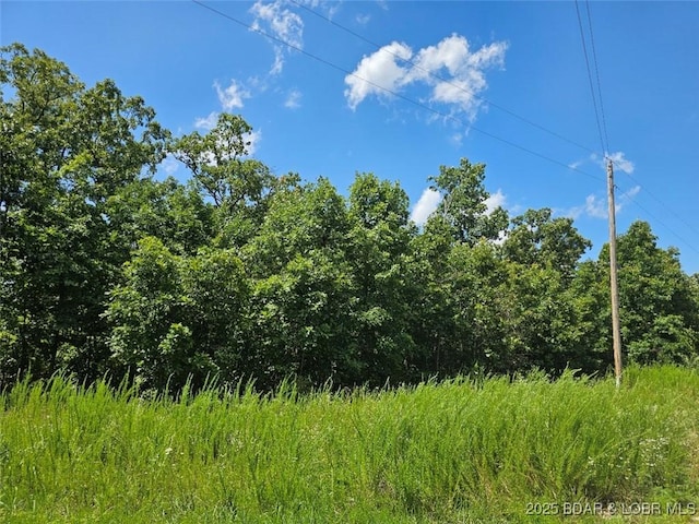 TBD Copperstone Rd, Camdenton, MO 65020 - photo 12