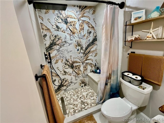 757 Malibu Rd Unit 101B, Osage Beach, MO 65065 - bathroom featuring toilet and a stall shower