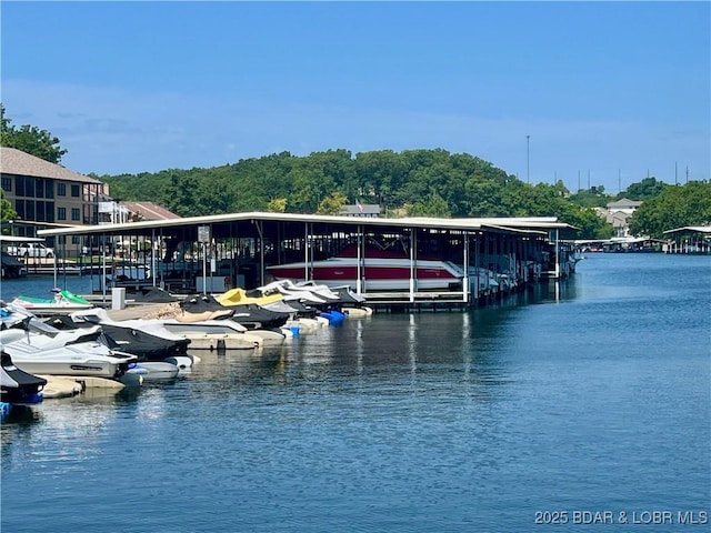 757 Malibu Rd Unit 101B, Osage Beach, MO 65065 - dock area with a water view and boat lift