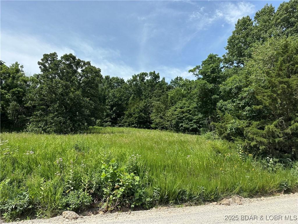 LOT5R Lick Creek Rd, Edwards, MO 65326 - photo 1
