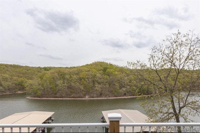 611 Lazy Days Rd Unit B11, Osage Beach, MO 65065 - water view with a heavily wooded area and a boat dock