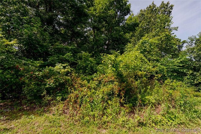 51 Hall Store Rd, Eldon, MO 65026 - photo 24