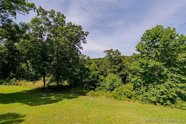 51 Hall Store Rd, Eldon, MO 65026 - photo 7