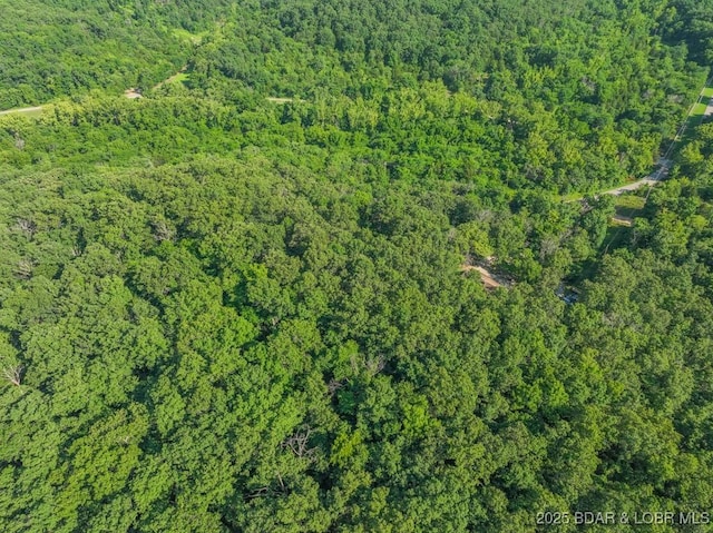1727 Bollinger Creek Rd, Climax Springs, MO 65324 - view of property location featuring a forest