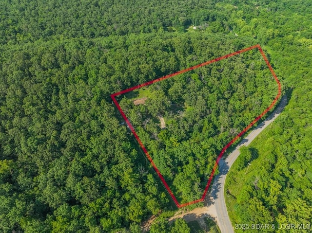 1727 Bollinger Creek Rd, Climax Springs, MO 65324 - aerial view of property's location with a forest and property boundaries highlighted