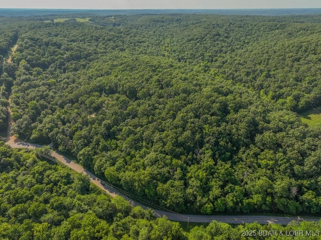 1727 Bollinger Creek Rd, Climax Springs, MO 65324 - drone / aerial view of a forest