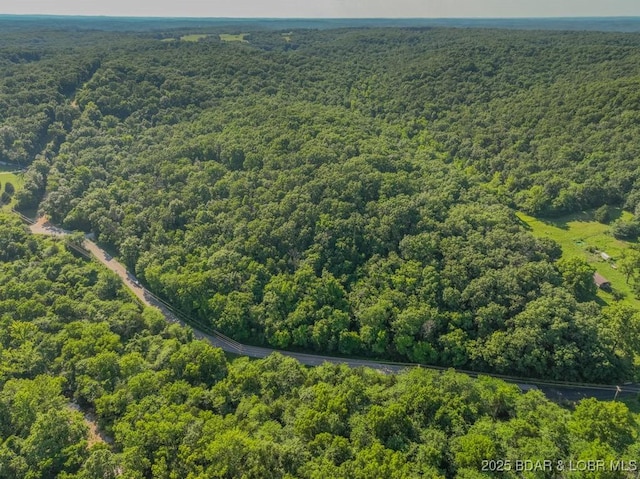 1727 Bollinger Creek Rd, Climax Springs, MO 65324 - bird's eye view of a heavily wooded area