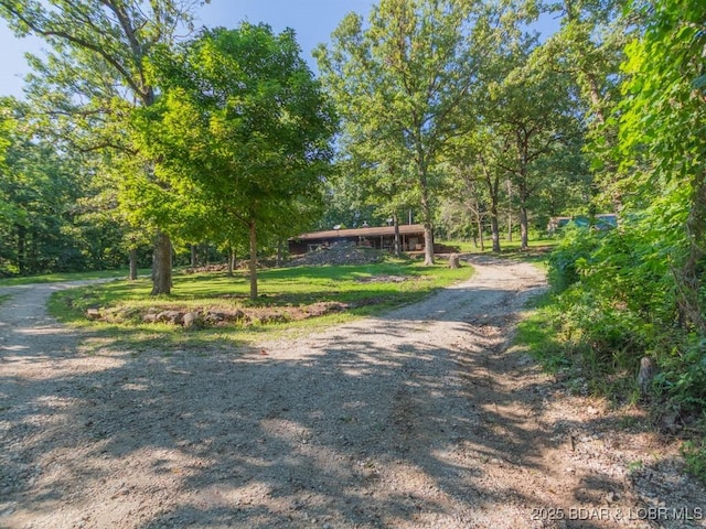 1727 Bollinger Creek Rd, Climax Springs, MO 65324 - view of dirt / gravel driveway