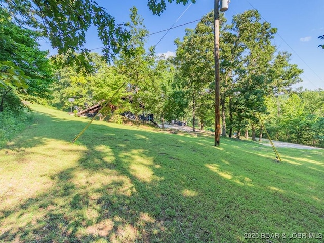 1727 Bollinger Creek Rd, Climax Springs, MO 65324 - view of grassy yard