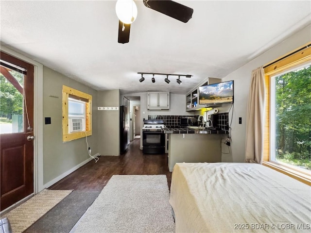 30424 Violet Rd, Gravois Mills, MO 65037 - bedroom featuring freestanding refrigerator, dark wood-style flooring, and rail lighting