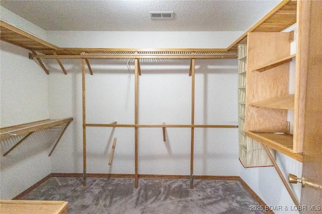 170 Twin Oaks Dr, Lake Ozark, MO 65049 - spacious closet with carpet flooring