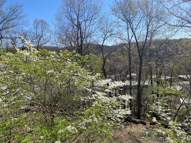 130 Guinevere Ct, Camdenton, MO 65020 - view of wooded area