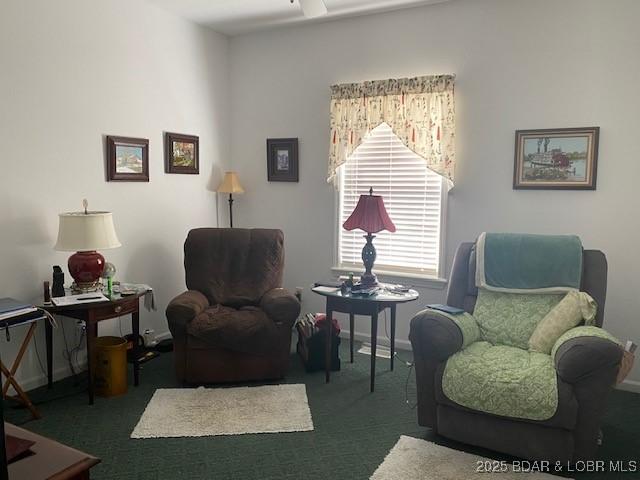 130 Guinevere Ct, Camdenton, MO 65020 - living area featuring carpet floors and baseboards