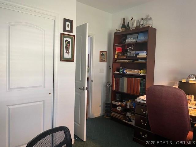 130 Guinevere Ct, Camdenton, MO 65020 - office space featuring dark colored carpet