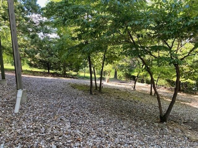 130 Guinevere Ct, Camdenton, MO 65020 - view of property's community