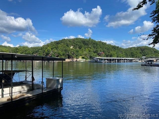 130 Guinevere Ct, Camdenton, MO 65020 - dock area featuring a forest view and a water view