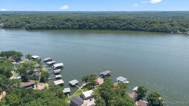 27527 Clyne Dr, Barnett, MO 65011 - aerial view of a heavily wooded area and a nearby body of water