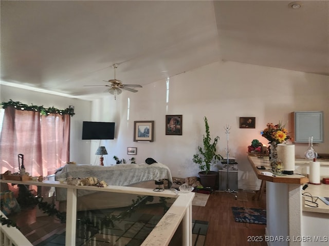 133 Ha Ha Tonka Rd, Camdenton, MO 65020 - living room with ceiling fan, dark wood-style floors, and vaulted ceiling