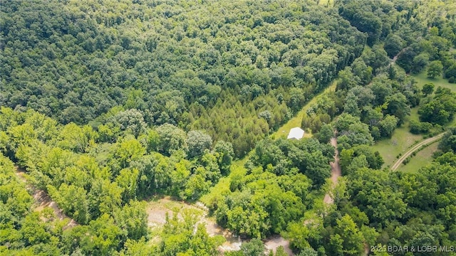 12960 Canyon Rd, Dixon, MO 65459 - photo 8
