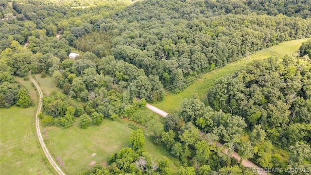 12960 Canyon Rd, Dixon, MO 65459 - photo 14