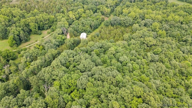 12960 Canyon Rd, Dixon, MO 65459 - photo 15