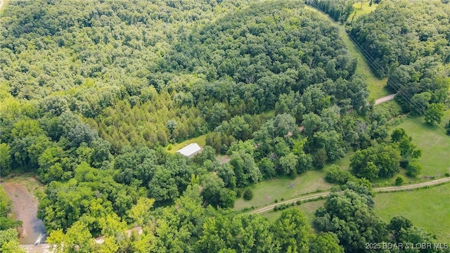 12960 Canyon Rd, Dixon, MO 65459 - photo 1