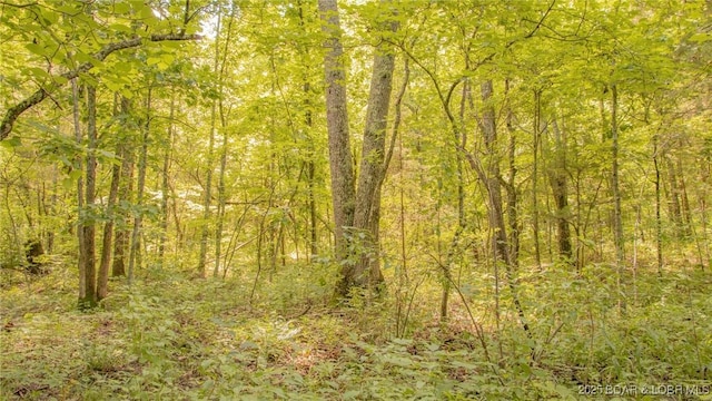 12960 Canyon Rd, Dixon, MO 65459 - photo 42