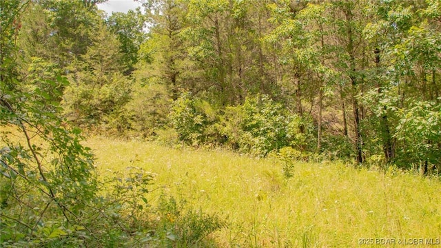 12960 Canyon Rd, Dixon, MO 65459 - photo 44