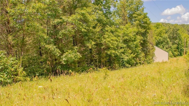 12960 Canyon Rd, Dixon, MO 65459 - photo 46
