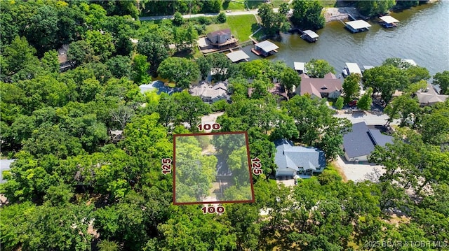 4741 Clearwood Ln, Osage Beach, MO 65065 - aerial view of residential area with property boundaries highlighted and a nearby body of water