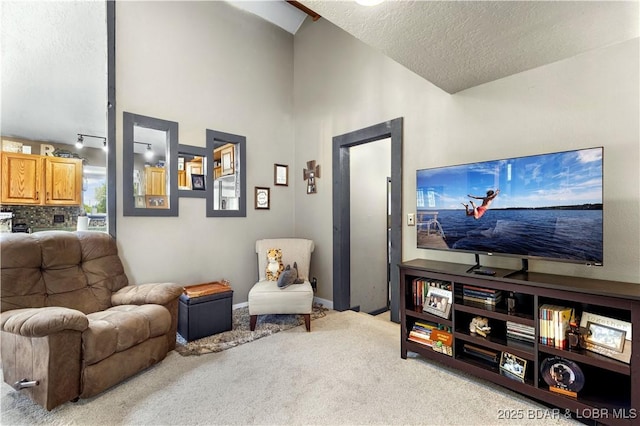 4741 Clearwood Ln, Osage Beach, MO 65065 - carpeted living area featuring a textured ceiling and lofted ceiling