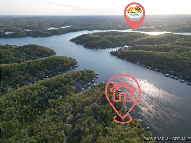 27086 Comanche Cv, Rocky Mount, MO 65072 - aerial view of a large body of water and a forest
