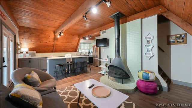 27086 Comanche Cv, Rocky Mount, MO 65072 - living room featuring track lighting, wooden ceiling, light wood-type flooring, and a wood stove