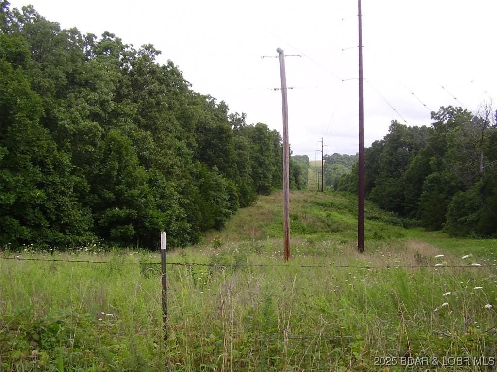 TBD Toronto Dr, Montreal, MO 65591 - photo 1