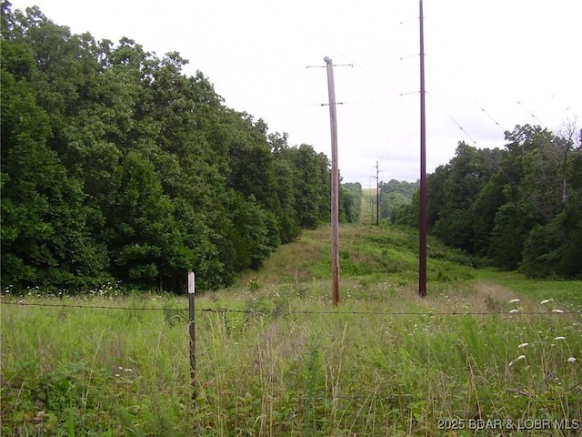 TBD Toronto Dr, Montreal, MO 65591 - photo 1
