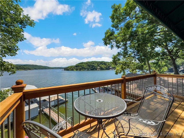 32 Marvic Dr, Camdenton, MO 65020 - photo 20