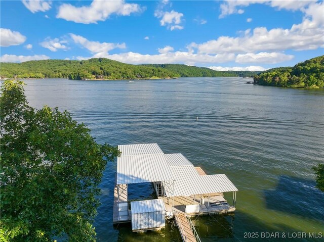 32 Marvic Dr, Camdenton, MO 65020 - photo 40