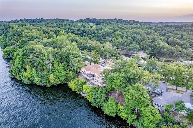 269 Cliff Dr, Sunrise Beach, MO 65079 - photo 47