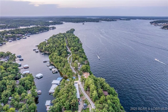 269 Cliff Dr, Sunrise Beach, MO 65079 - photo 48