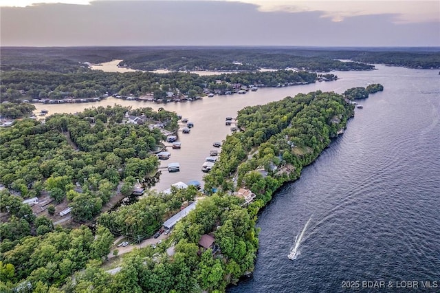 269 Cliff Dr, Sunrise Beach, MO 65079 - photo 49