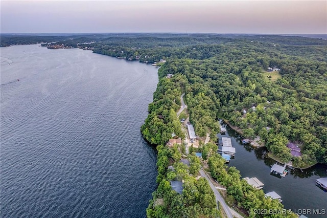269 Cliff Dr, Sunrise Beach, MO 65079 - photo 50