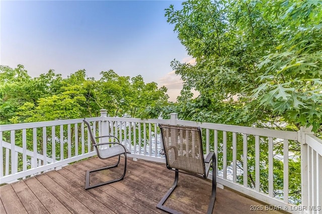 269 Cliff Dr, Sunrise Beach, MO 65079 - photo 44