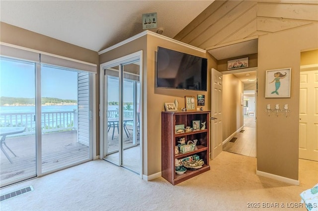 269 Cliff Dr, Sunrise Beach, MO 65079 - photo 19